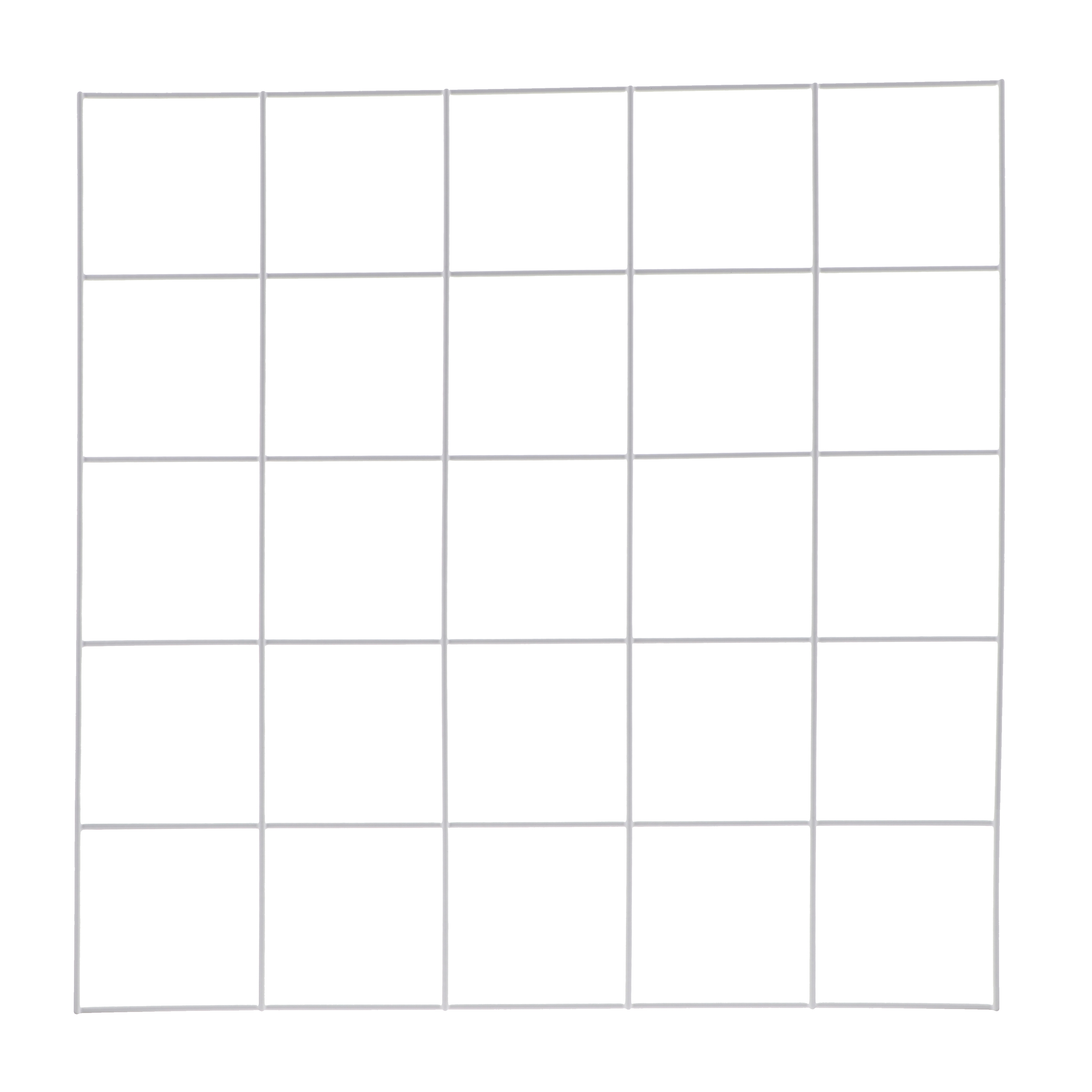 Grid Quadrat 25 squares