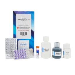 EDVOTEK DNA Fingerprinting Made Simple Kit