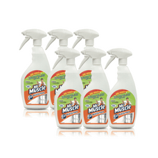 Mr Muscle 5-in-1 Multi-Surface Cleaner - 750ml - Pack of 6