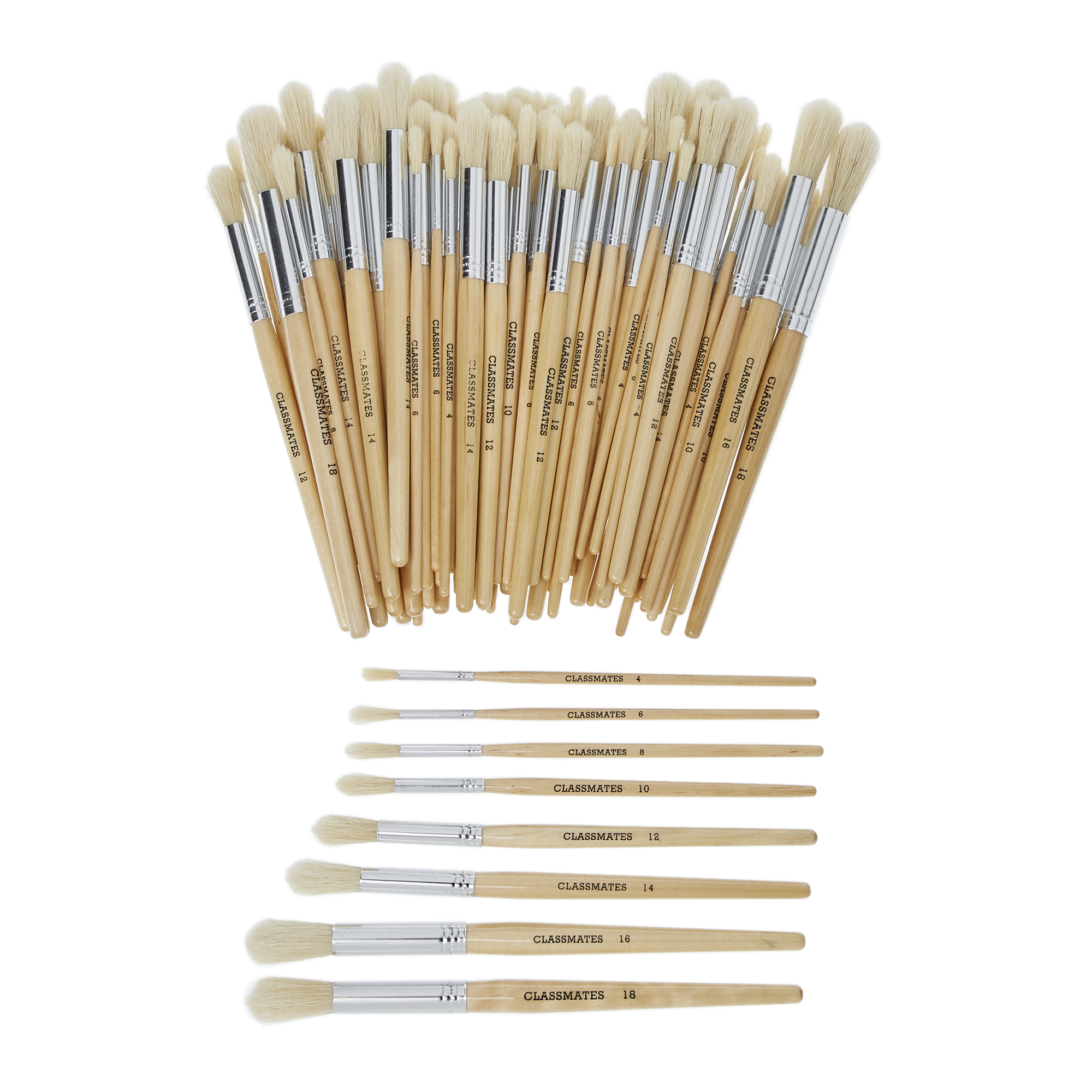 Short Handle Round Brushes Asst PK100