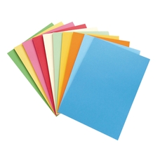 Tencard (230 micron) - Assorted - A4 - Pack of 200