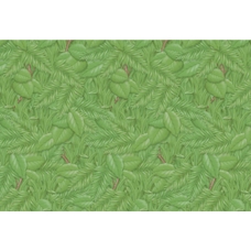 Fadeless Extra Wide Tropical Foliage Design Display Paper Roll - 1218mm x 3.6m