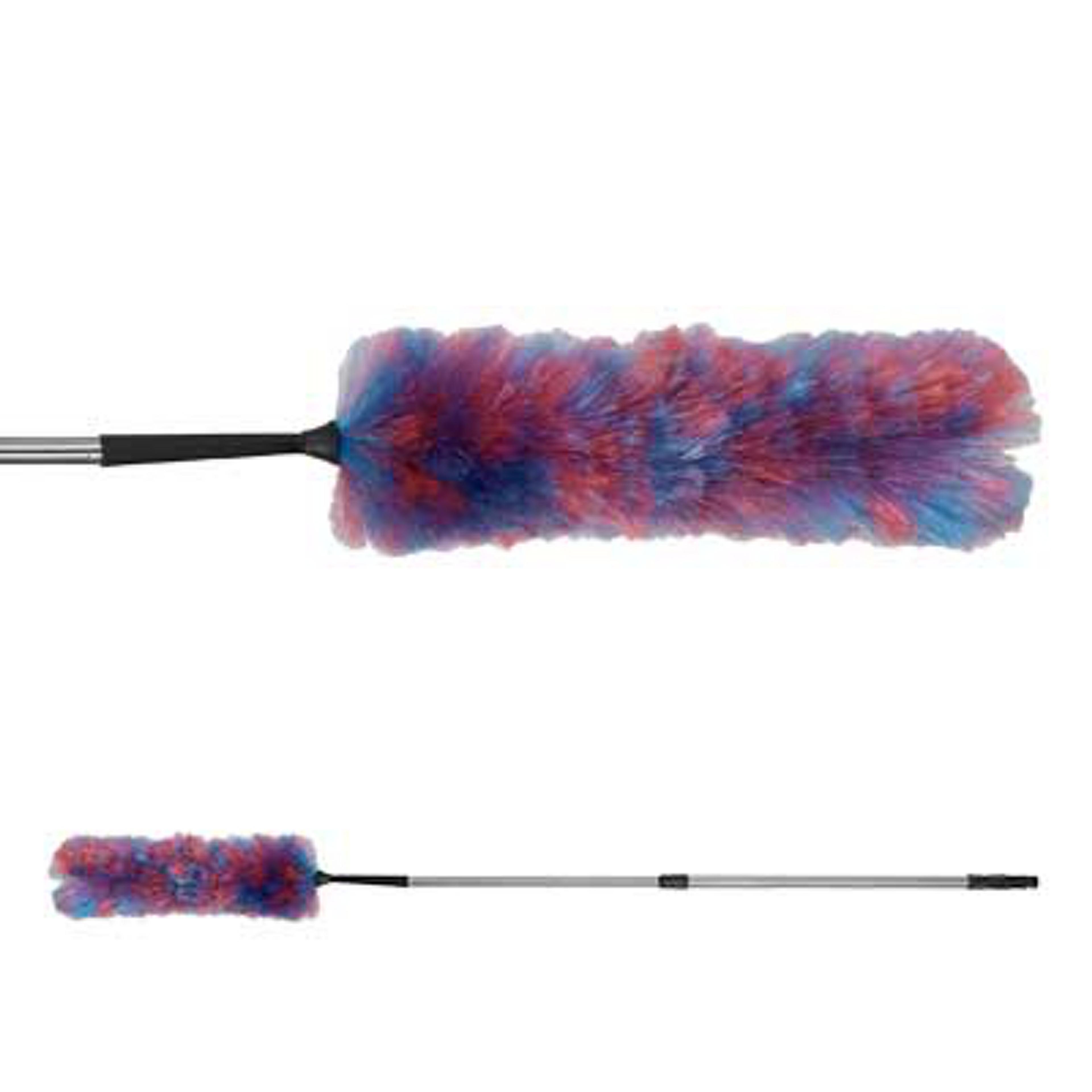 Cobweb Brush with Extending Handle