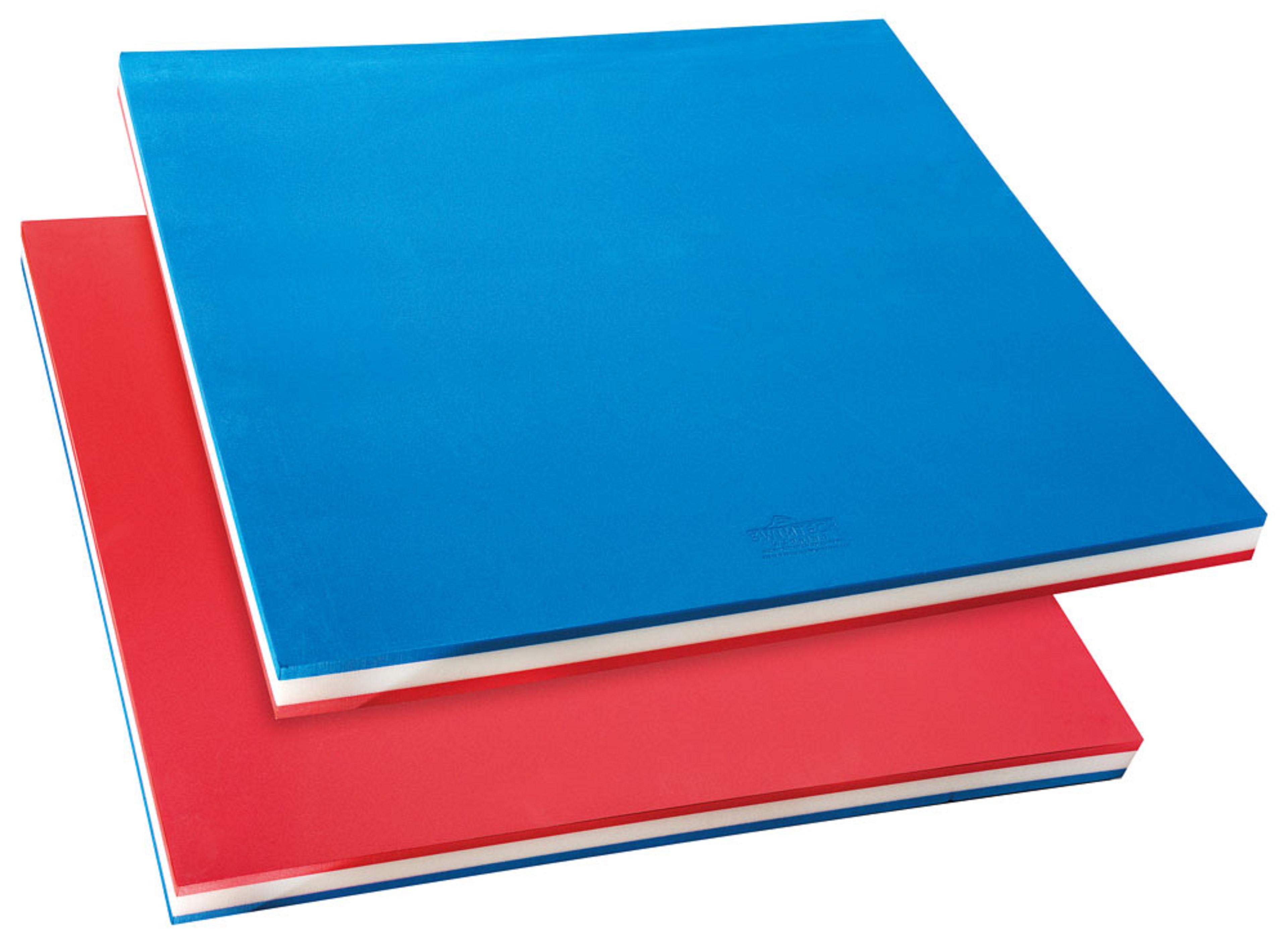 Swim Raft - Square - Blue/Red - 96cm