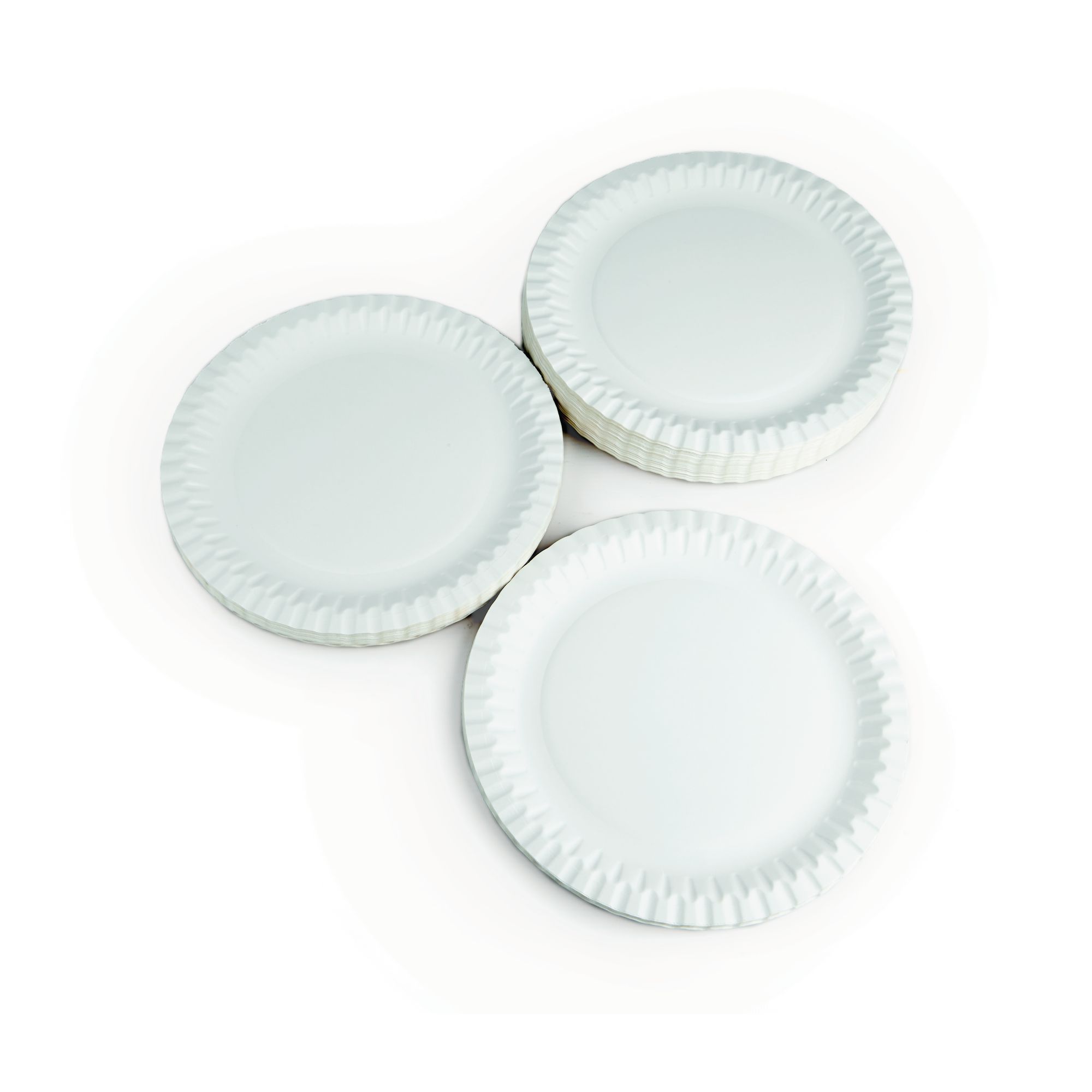 Paper Plates Pack Of 100