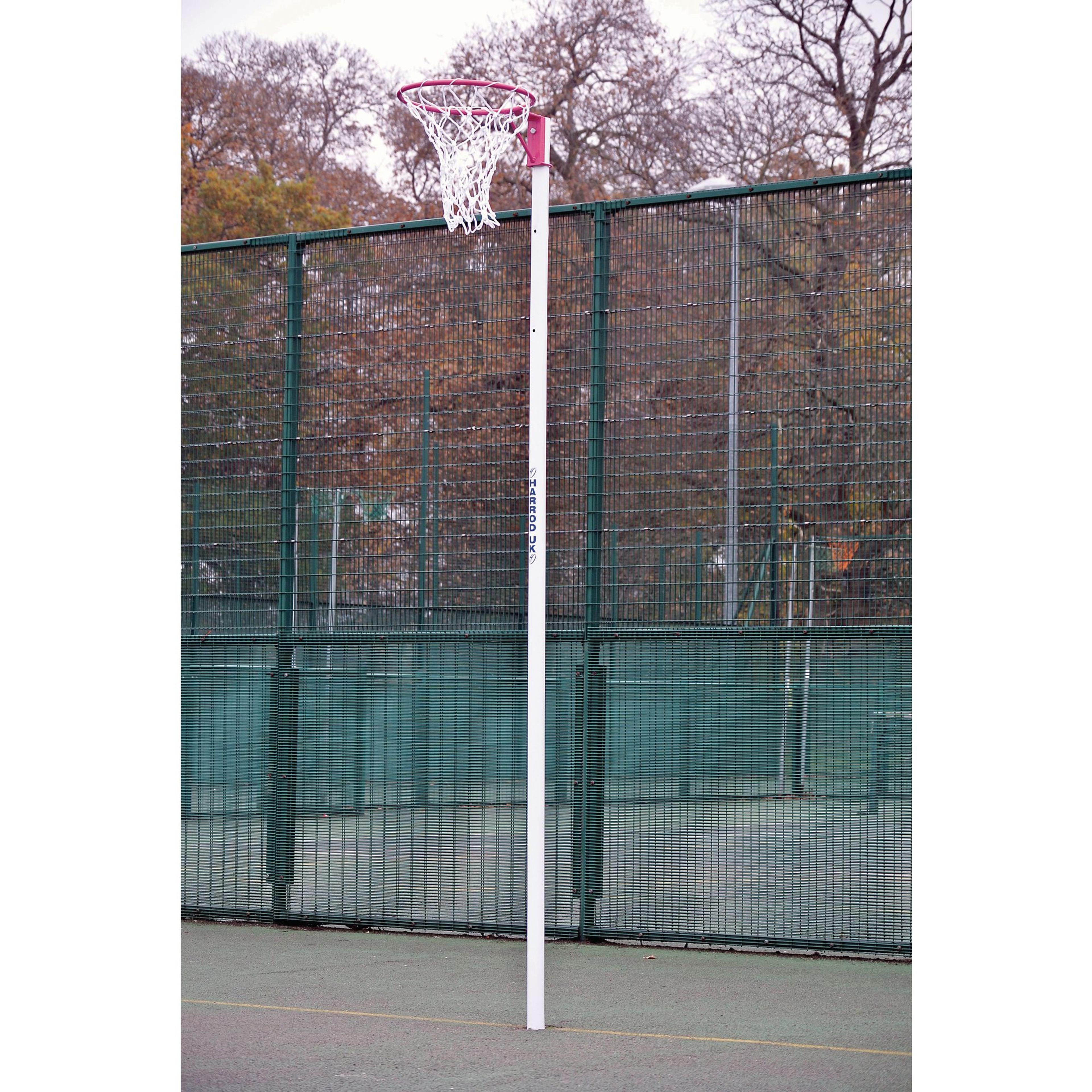 Harrod Sport Socketed Post - Pink - Pair