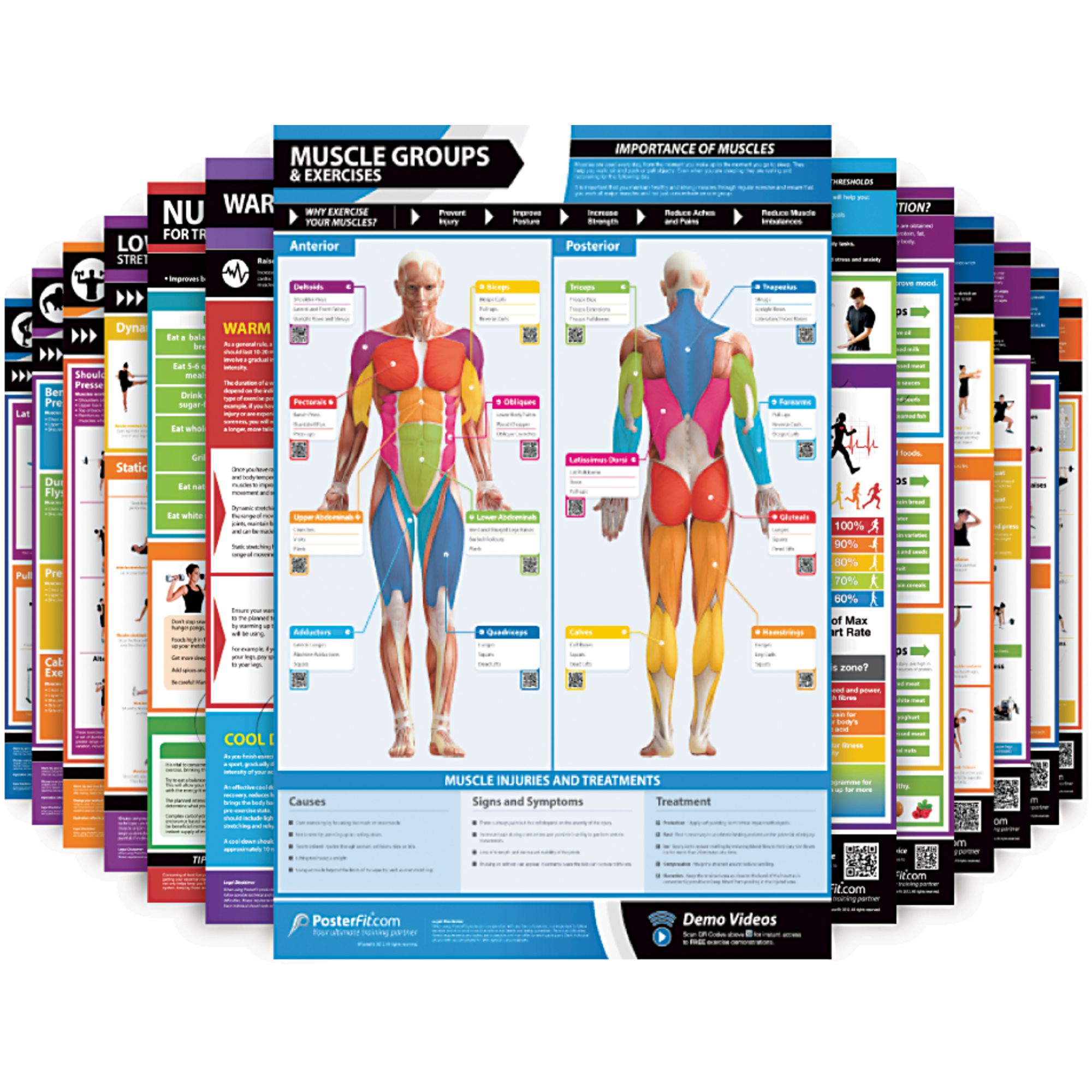 Full Set Exercise Conditioning Posters