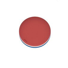 Swim Raft  - Circular - Blue/Red - 94cm