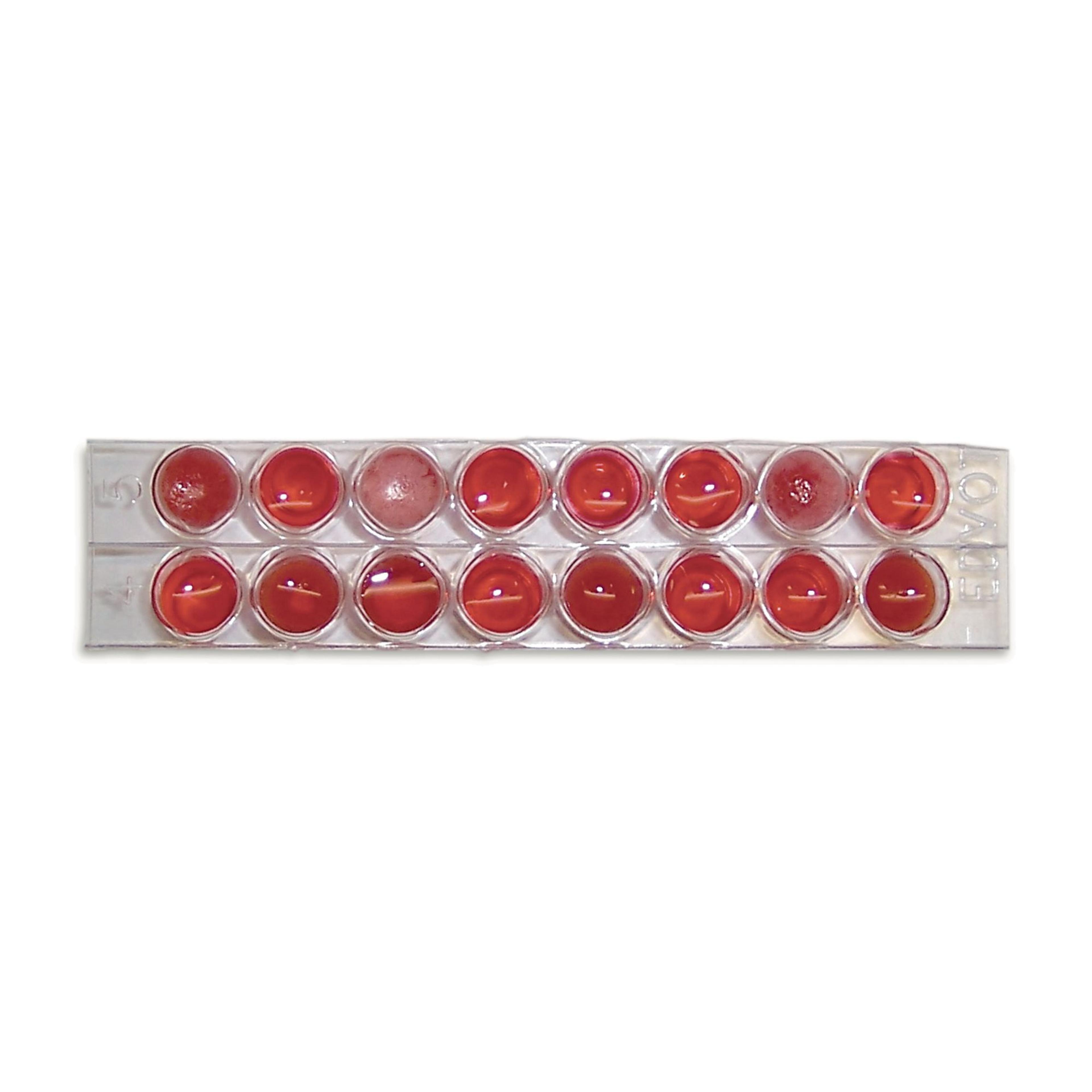 EDVOTEK Blood Typing (ABO) Kit