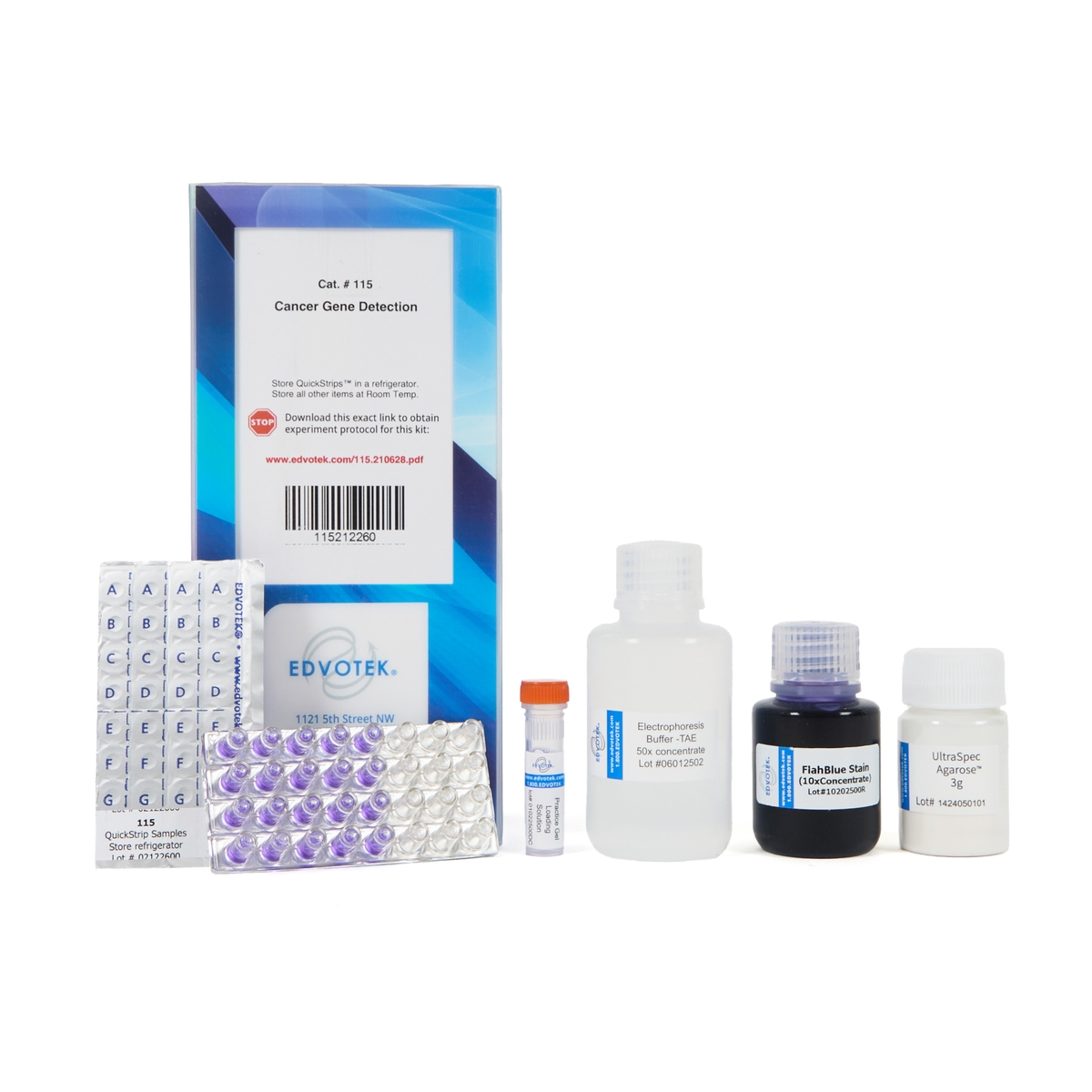 EDVOTEK Cancer Gene Detection Kit | G1482346 | GLS