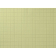 Rhino A4 Tinted Paper Exercise Book 48 Page, Light Blue, 10mm Squared - Pack of 10