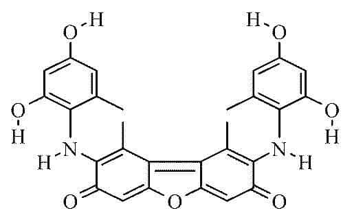 Orcein Stain 5g