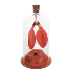 Lung Demo Model in a Bell Jar