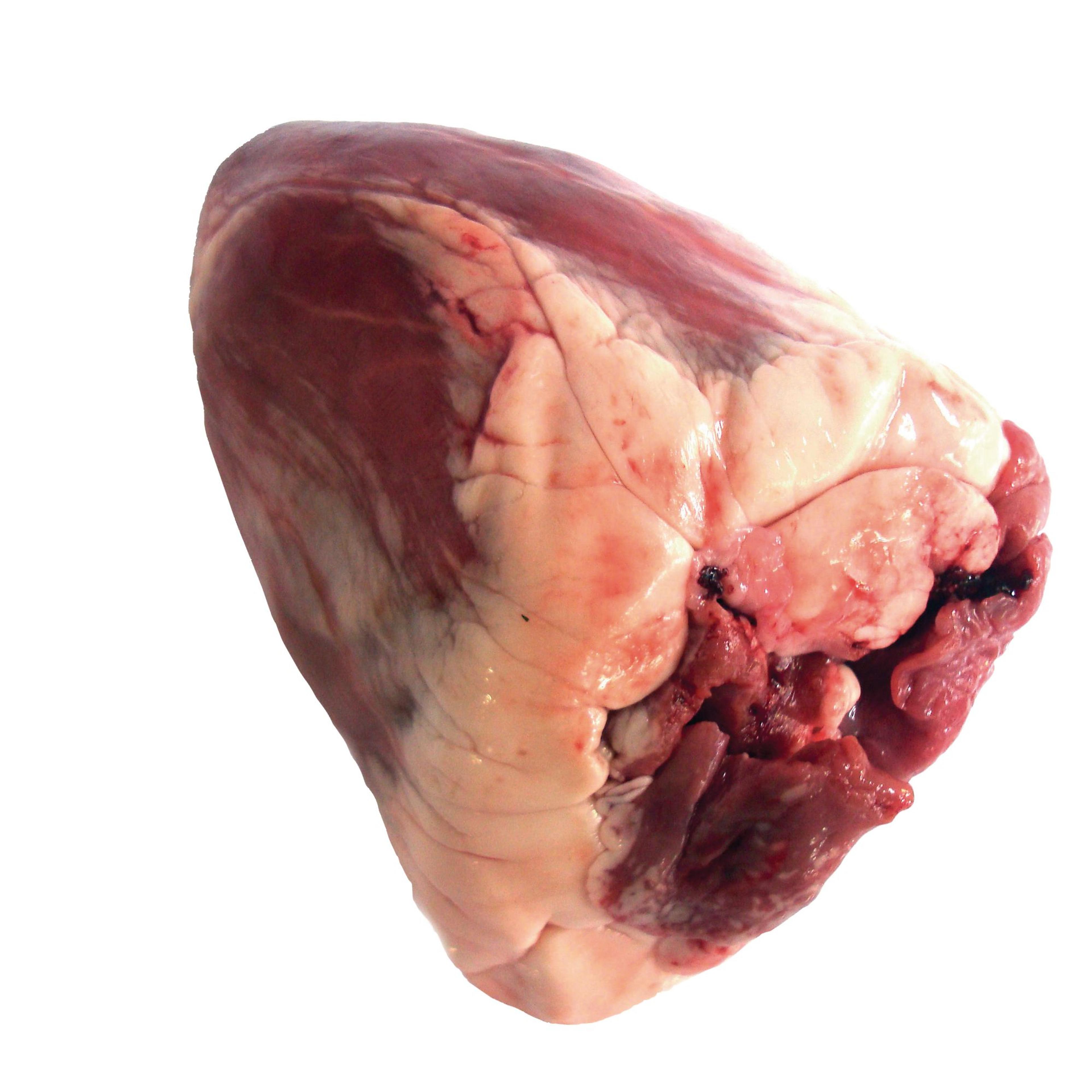Sheep Hearts (Halal) - Pack of 30