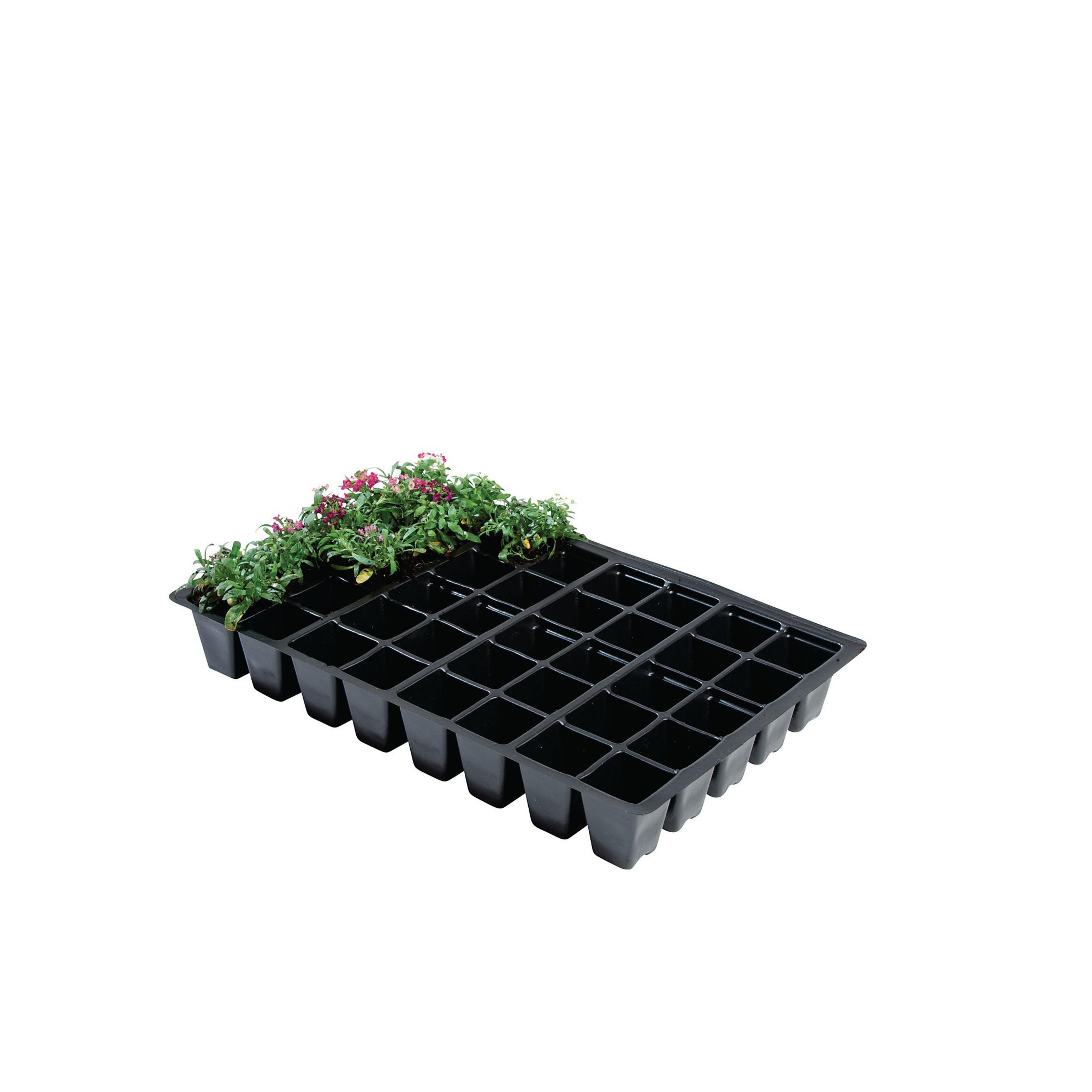 40 Cell Seed Insert Trays - Pack of 5 