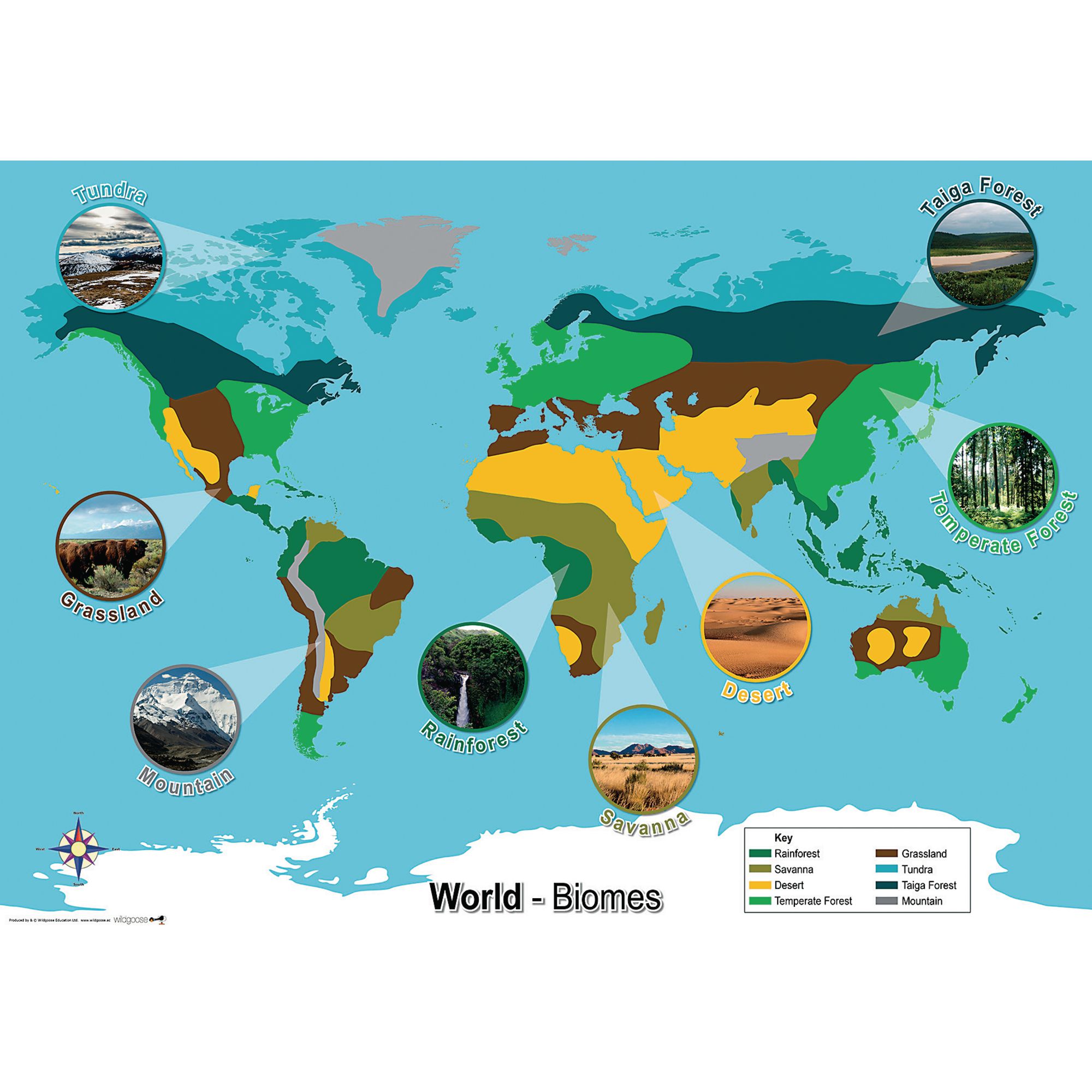 A1534834 World Biomes Map Atoz Supplies