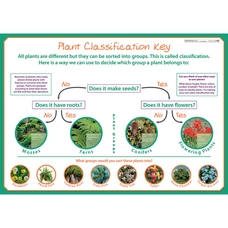 wildgoose Classifying Plants Poster