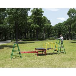 Wisdom Bridge Play Gym - 5 Piece Set