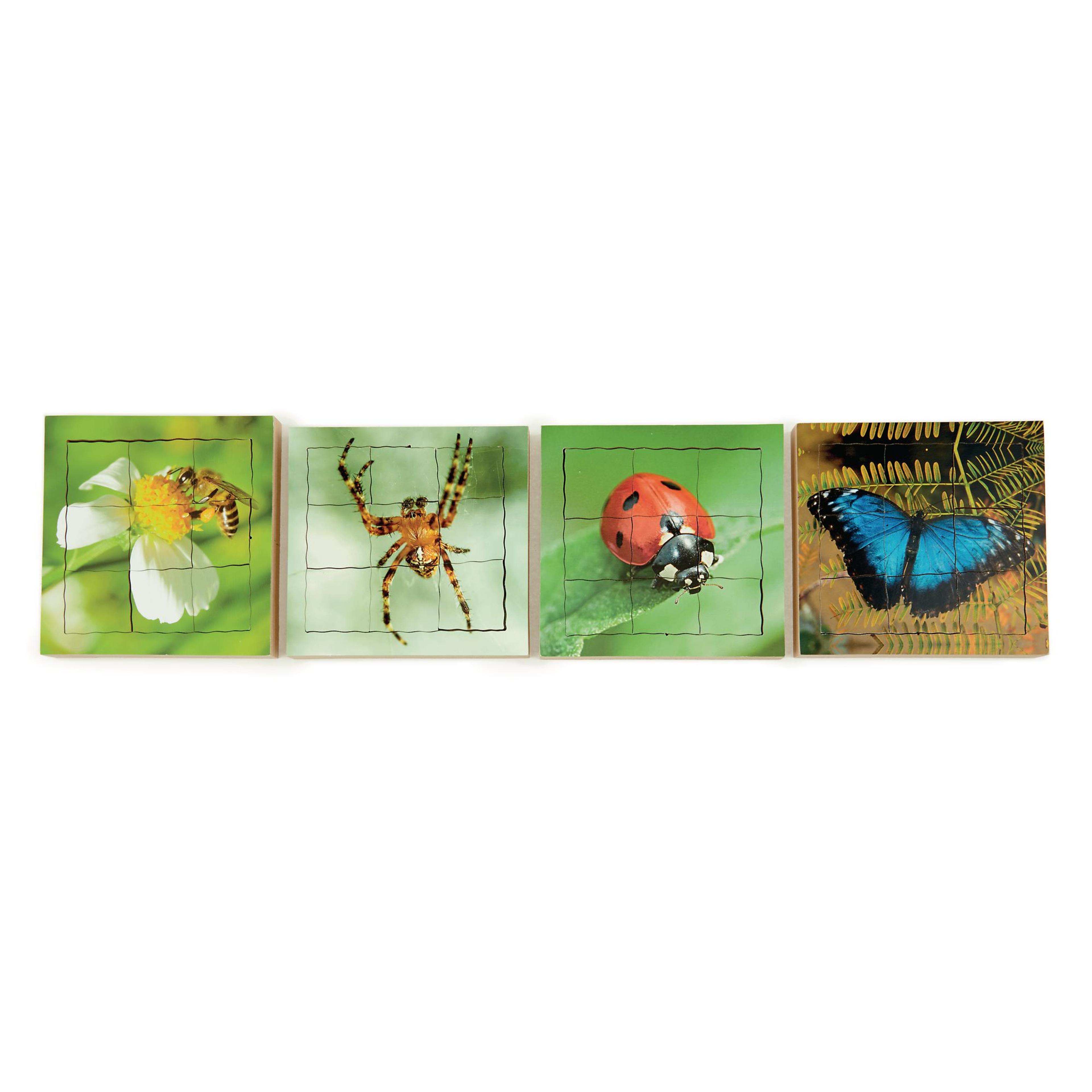 Just Jigsaws Layered Lifecycle Puzzles - Pack of 4