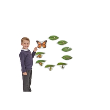 Learning Resources Butterfly Magnetic Life Cycle