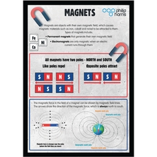 Magnets and Forces Poster