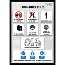 Laboratory Rules Poster