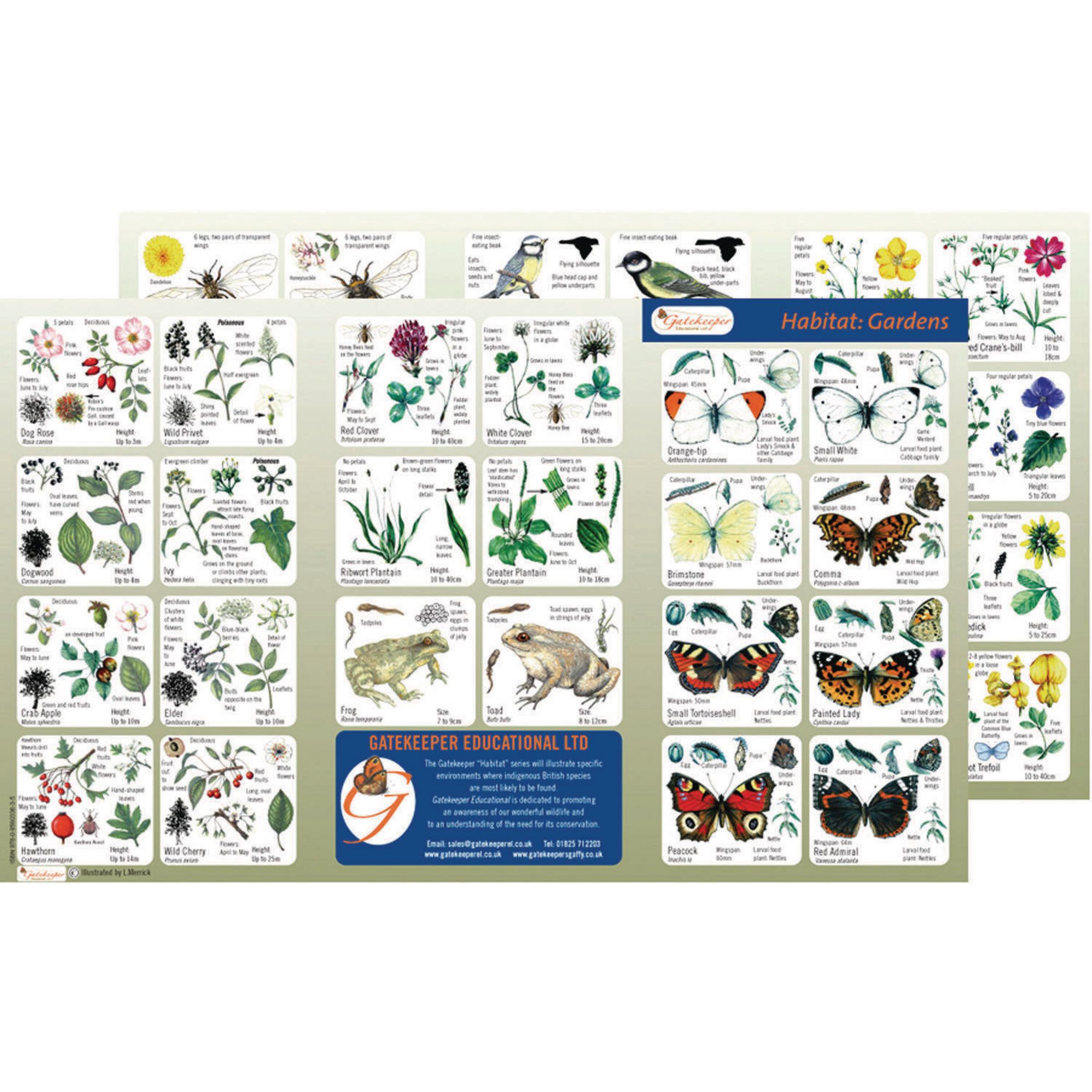 Habitat Gardens Identification Guide