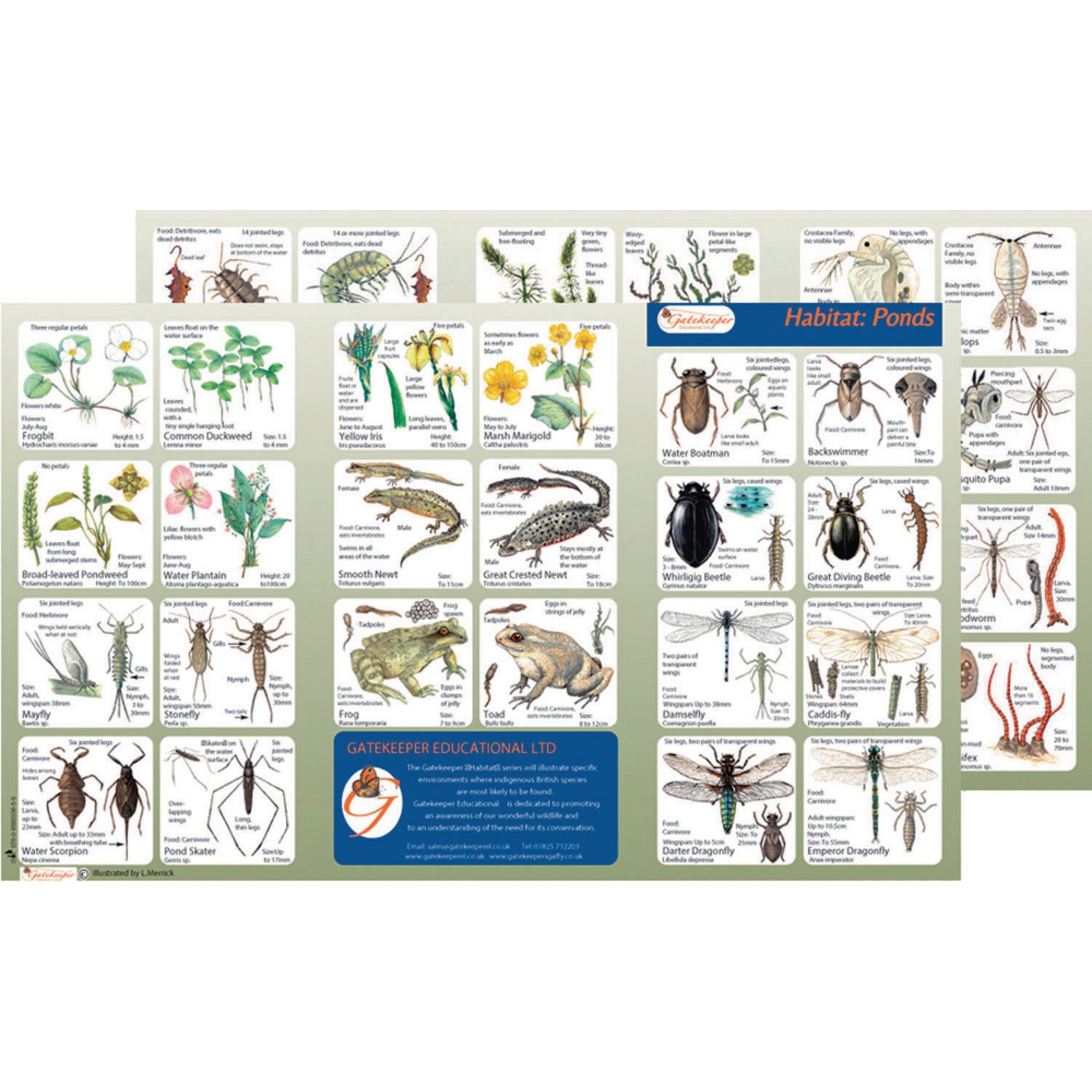 Habitat Ponds Identification Guide