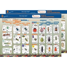 Identification Guide: Land Invertebrates 