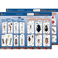 Identification Guide: Freshwater Invertebrates