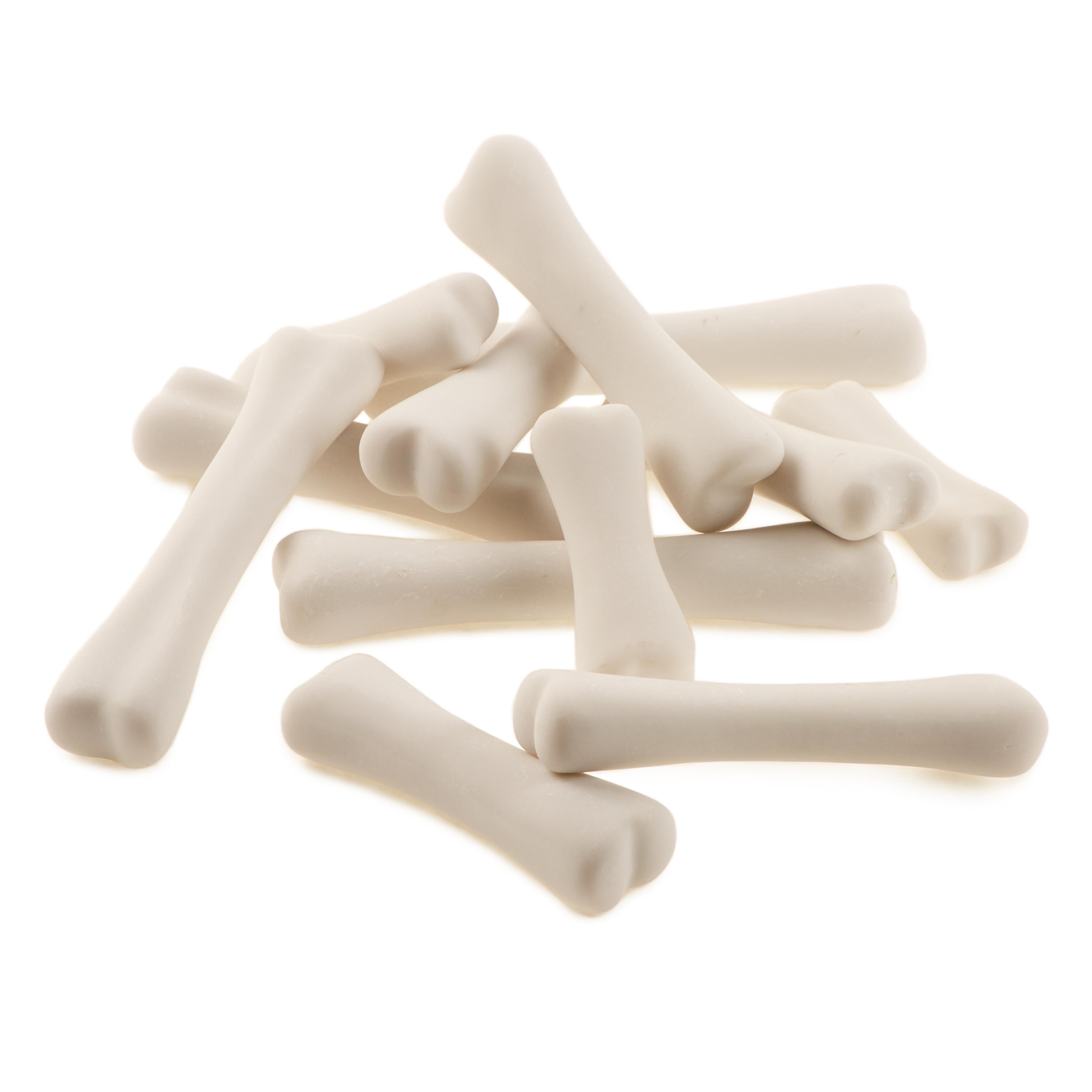 Yellow Door Dinosaur Bones Discovery Set - 12 Piece Set