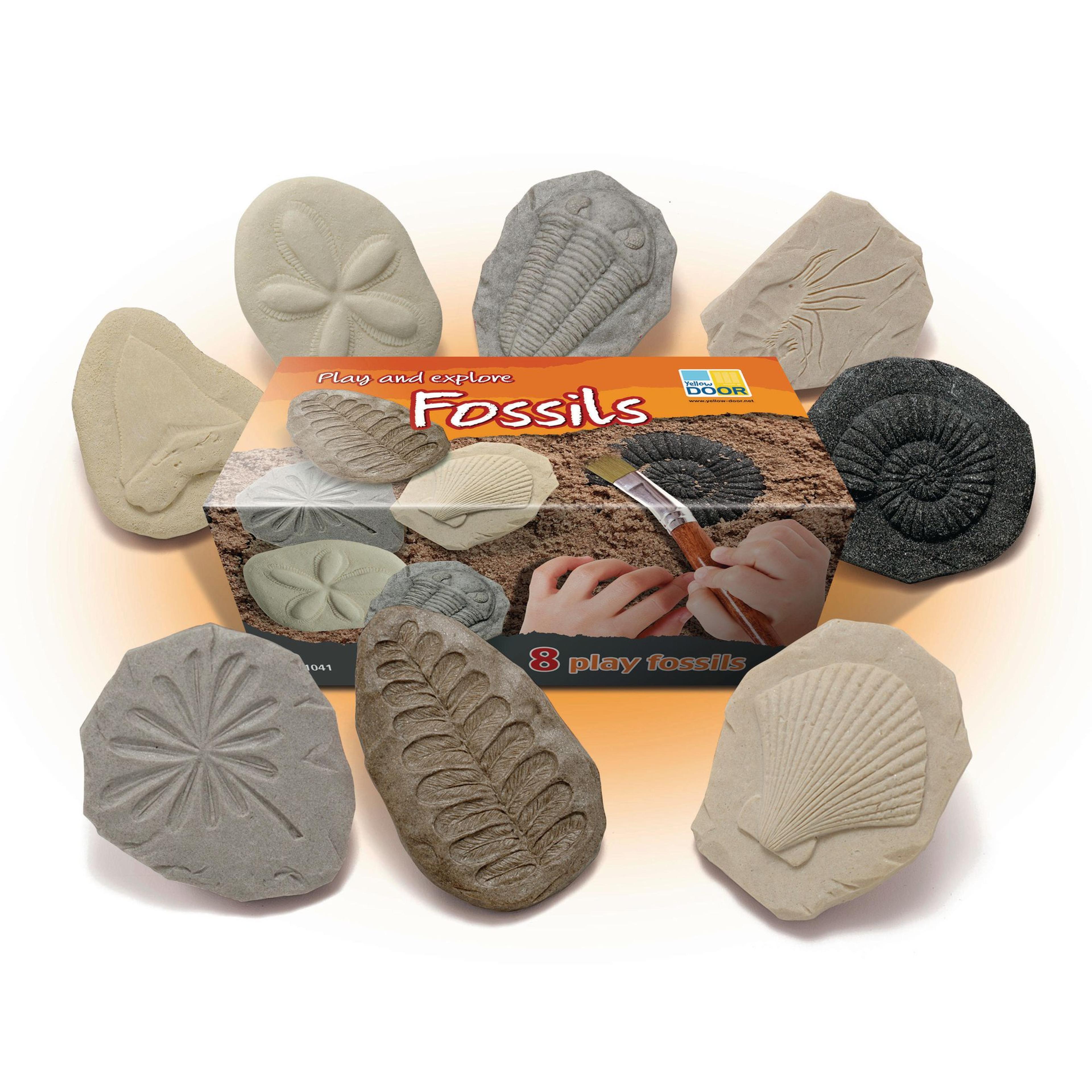 Yellow DOOR Let’s Investigate Fossils - Set of 8