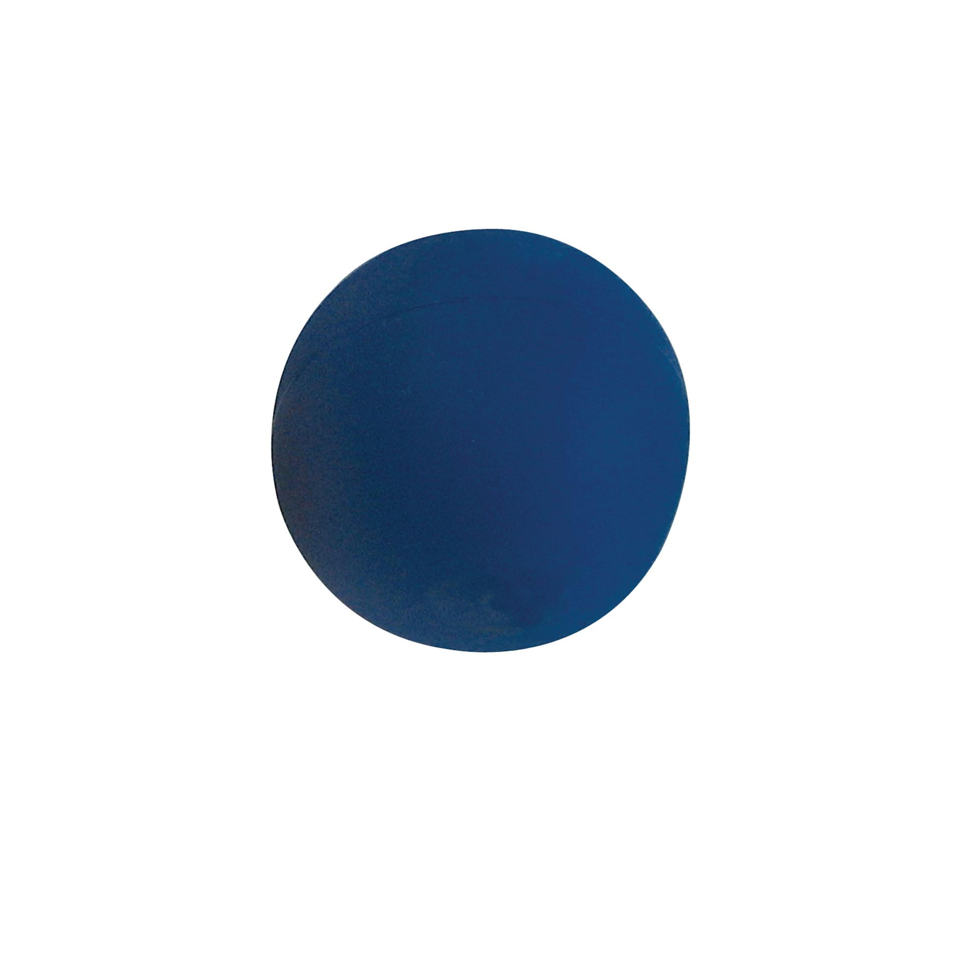 Eveque Primary Shot Put - Blue - 600g