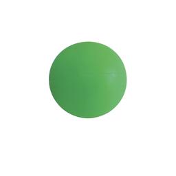 Eveque Primary Shot Put - Green - 600g