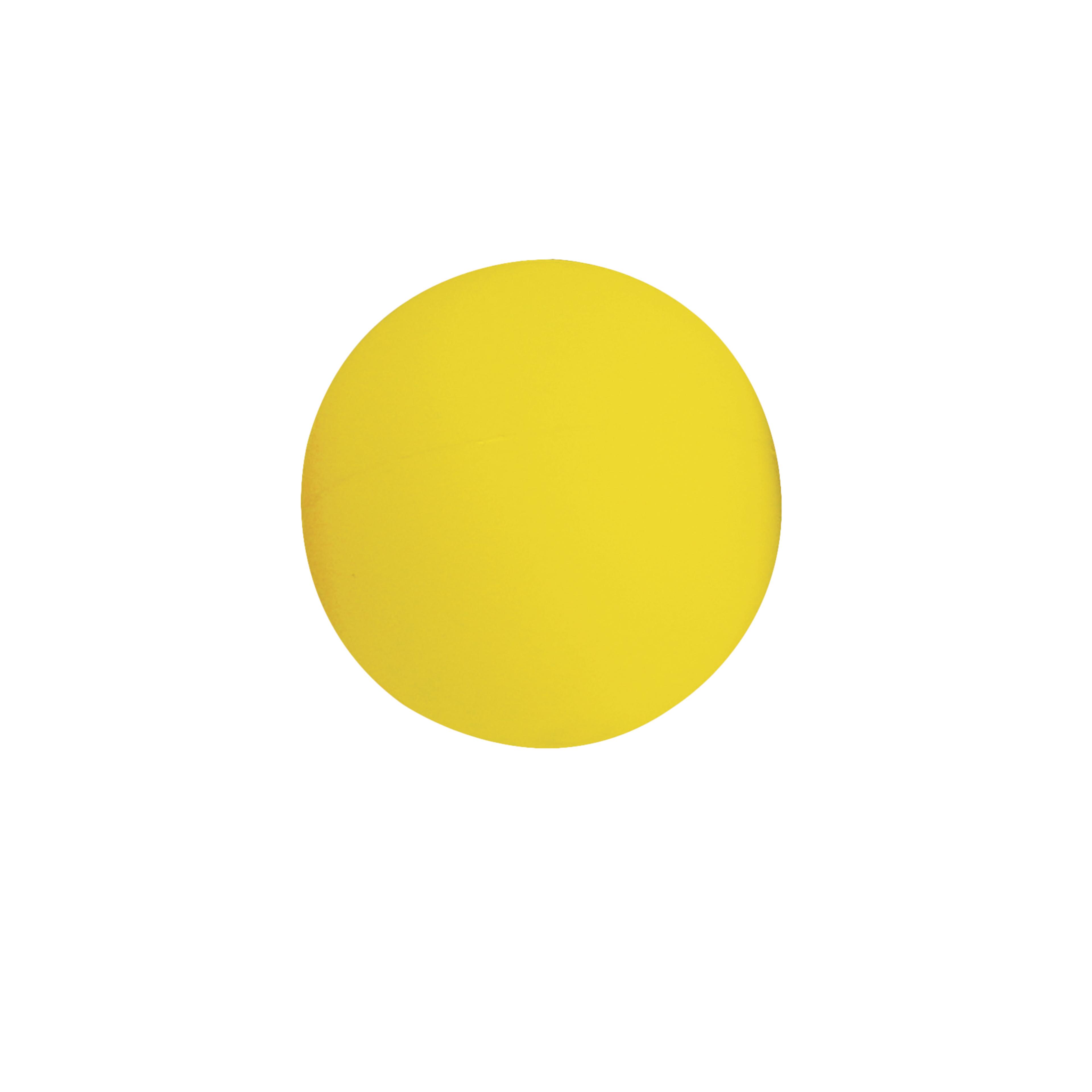 Eveque Primary Shot Put - Yellow - 600g