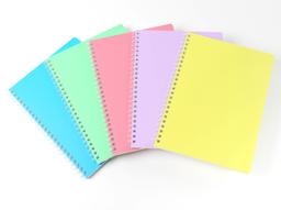Silvine Polyprop Notebooks - Assorted - A5 - Pack of 10