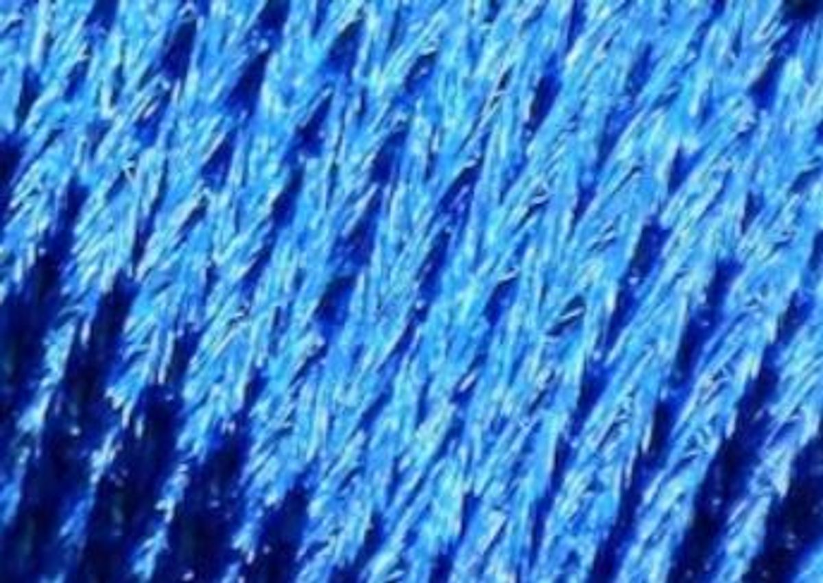 Prepared Microscope Slide Set - Textiles: Fibres and Fabric - Set of 25 ...