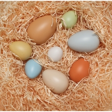 Yellow Door Size Sorting Eggs