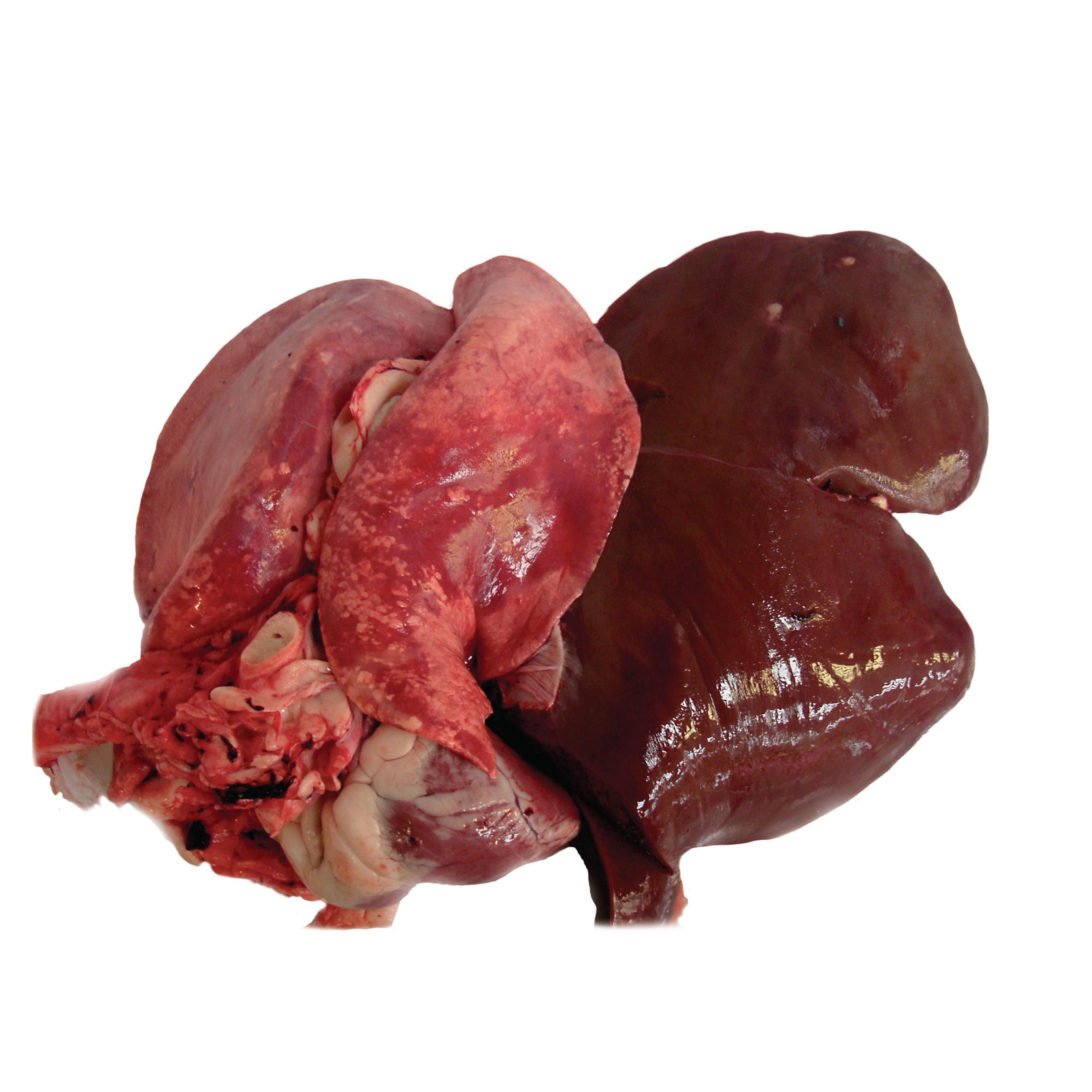 Sheep Pluck with Liver (Halal)