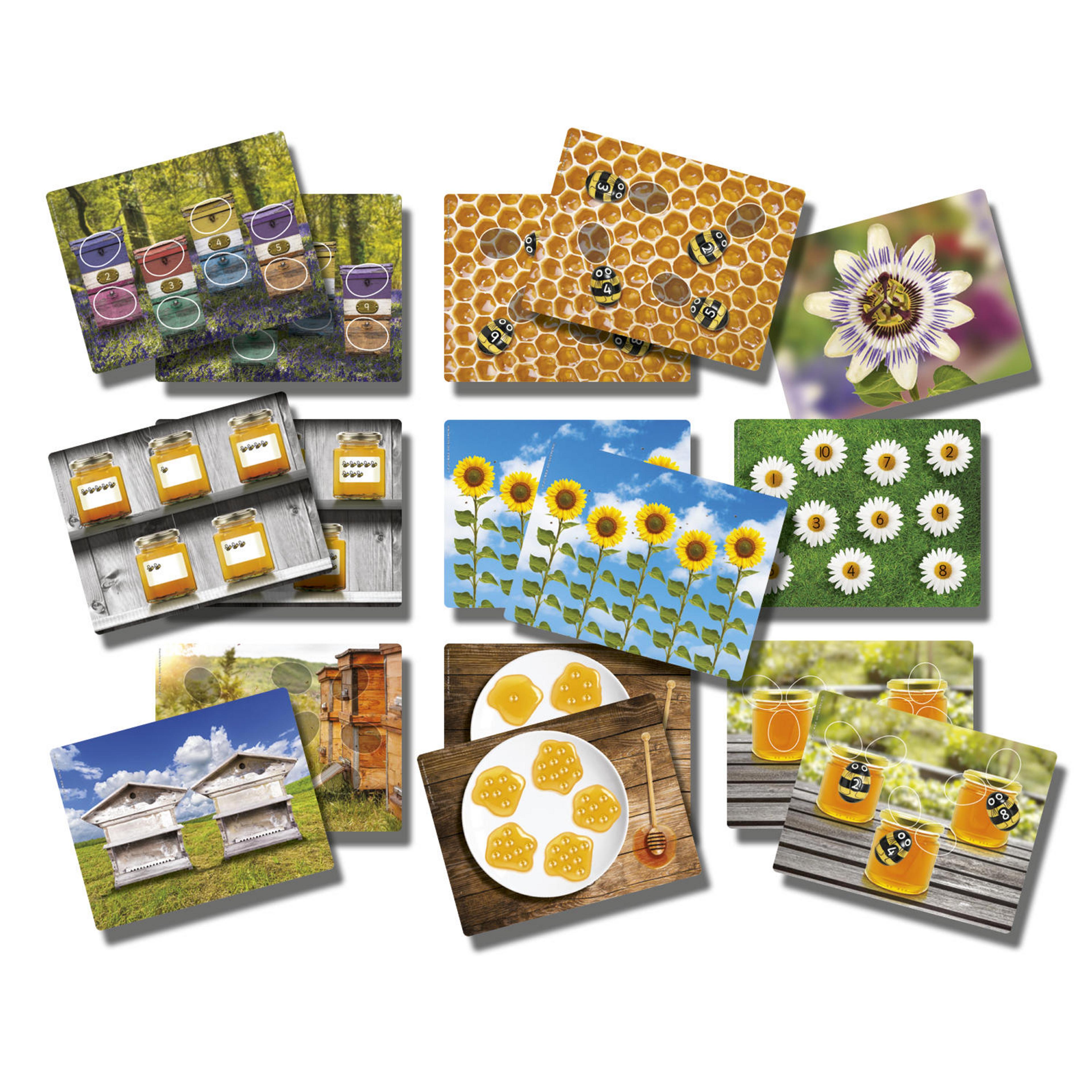 Yellow Door Honey Bee Number Cards