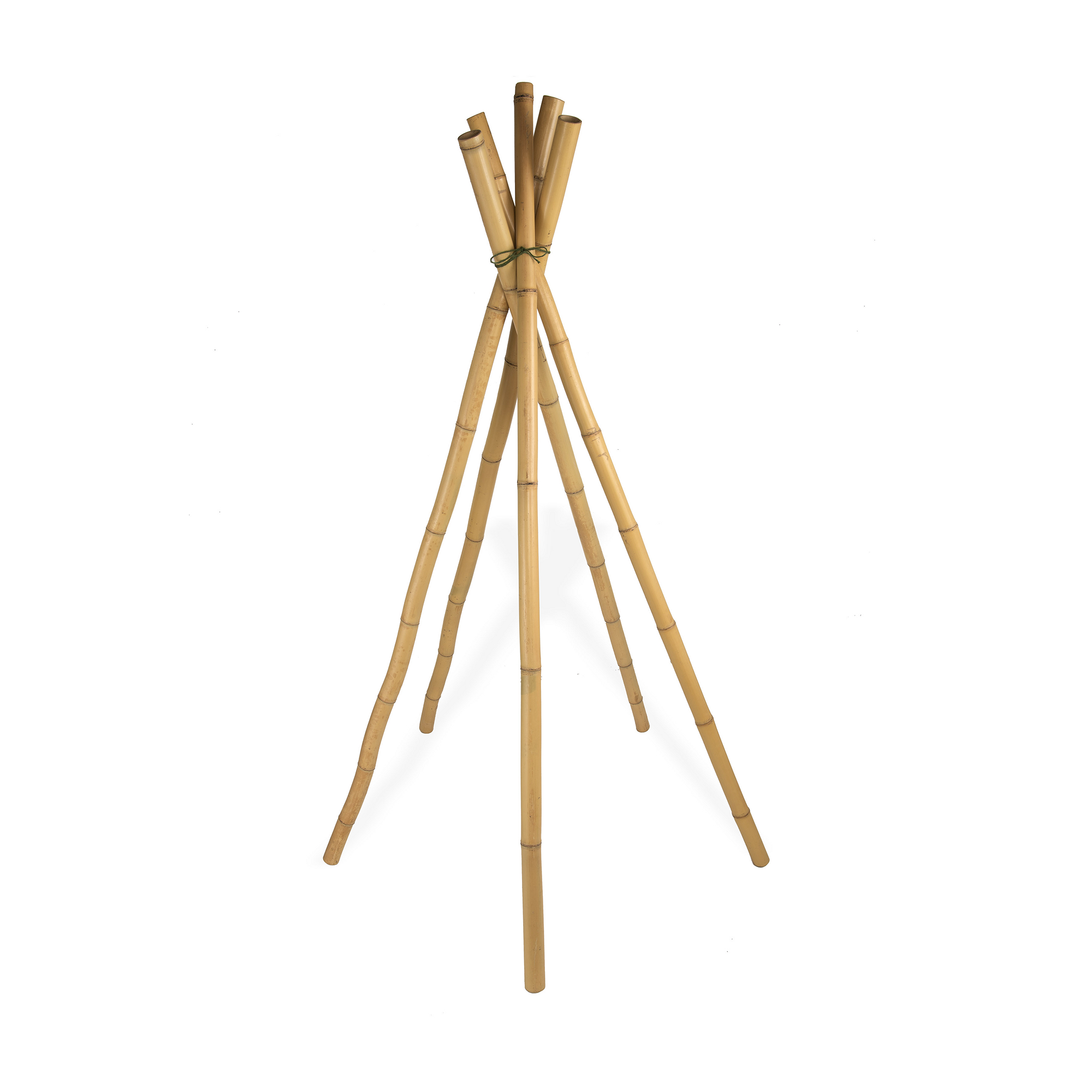 Large Bamboo Sticks - Pack 5