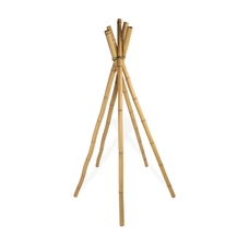 Large Bamboo Canes - Pack of 5