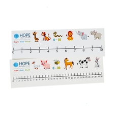 Double-sided Number Line - Pupil from Hope Education