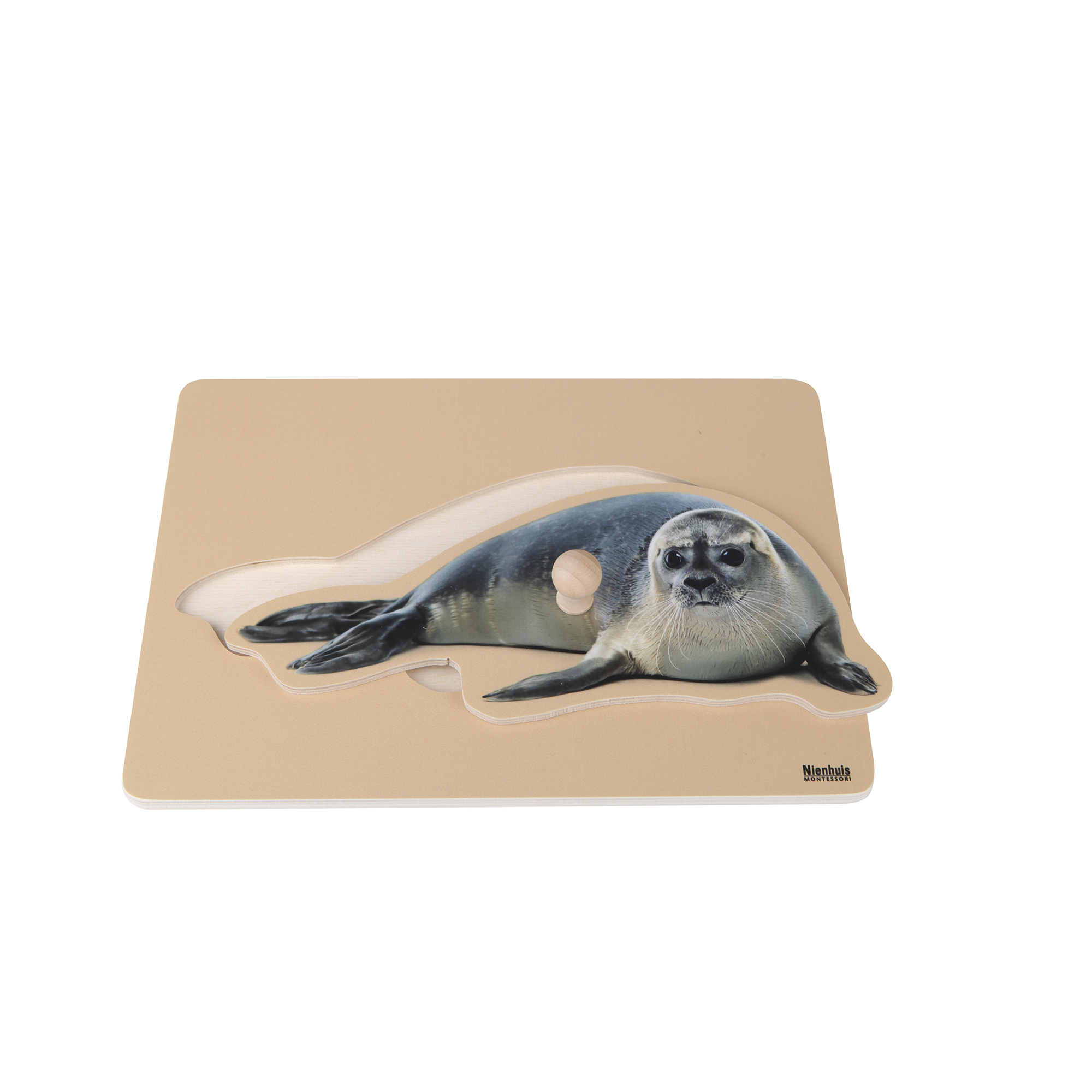 Toddler Puzzle Seal