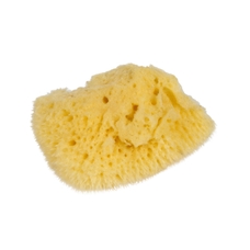 Nienhuis Montessori Small Natural Sponge