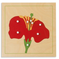 Nienhuis Montessori Botany Puzzle: Flower