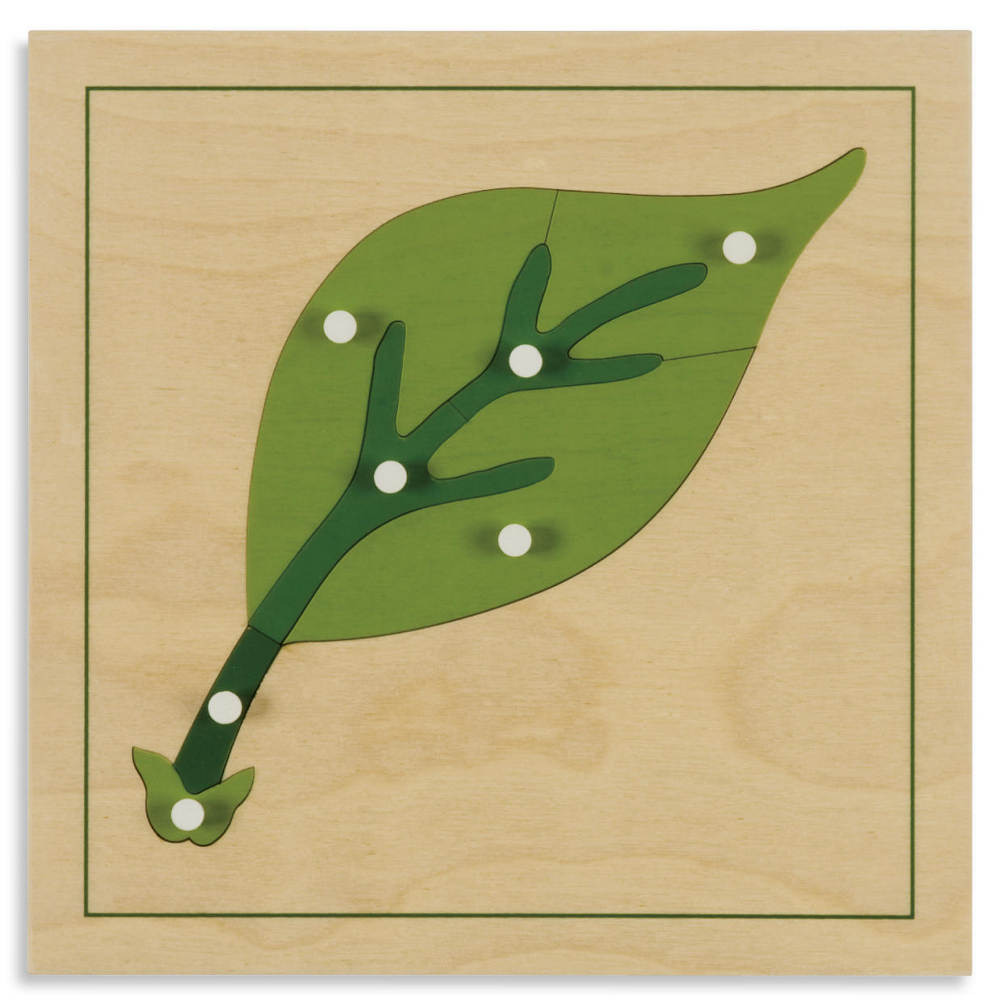 Botany Puzzle Leaf
