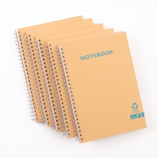 Silvine Recycled Kraft Notebooks - A5 - Pack of 6