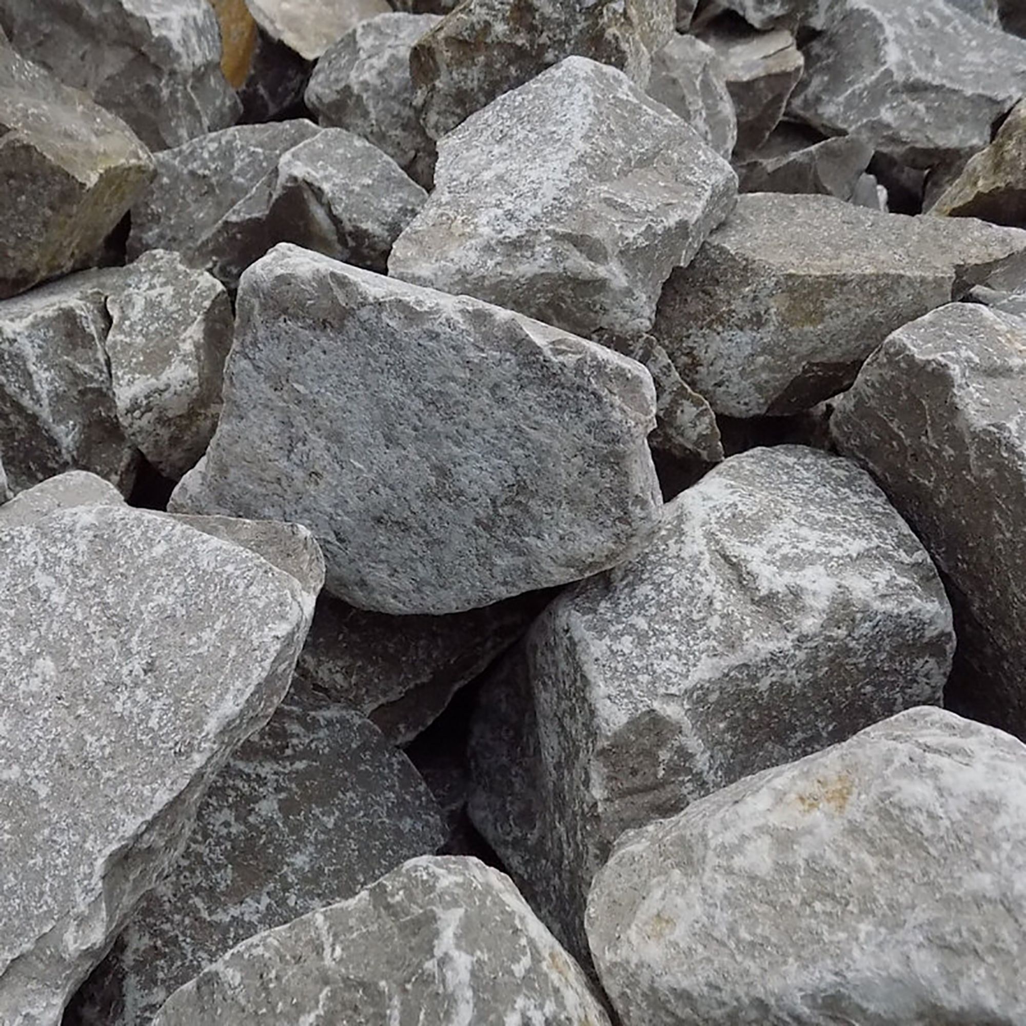 Rock Specimen Limestone Carboniferous