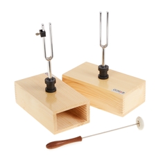 Tuning Forks With Hammer